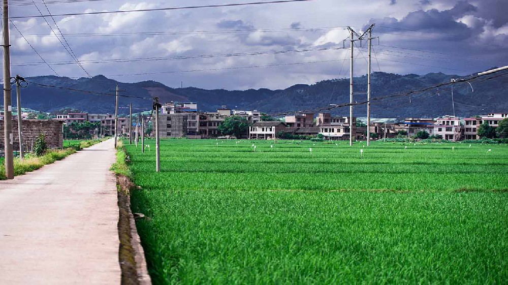 浙江内蒙古乡村沃畉农业服务购入来…