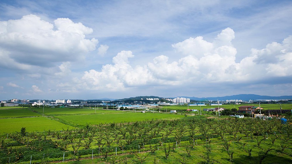 浙江山东省临沂沂南县农业局采购农…